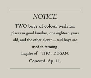 employment advertisement